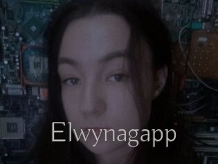 Elwynagapp