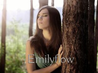 Emilyflow