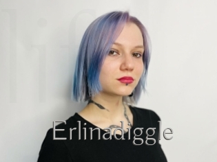 Erlinadiggle