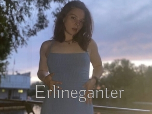 Erlineganter