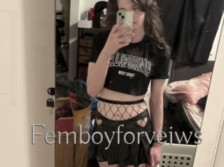 Femboyforveiws