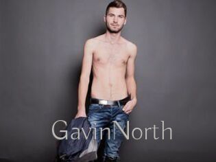 GavinNorth