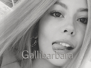 Gallibarbara