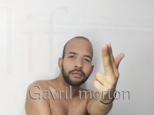 Gavril_morton