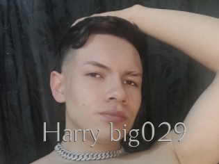 Harry_big029