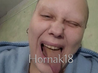 Hornak18