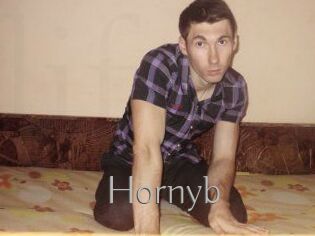 Hornyb