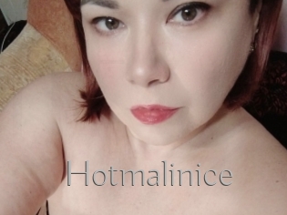 Hotmalinice