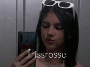 Irissrosse