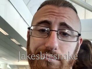 Jakesbigsnake