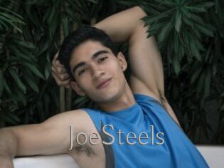 JoeSteels