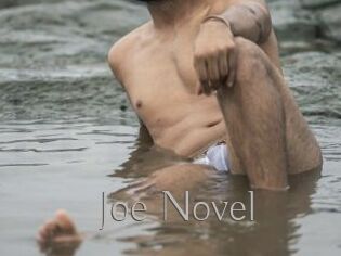 Joe_Novel