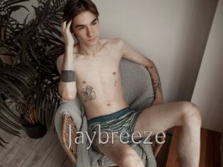 Jaybreeze