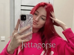 Jettagorse