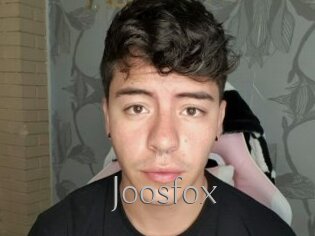 Joosfox