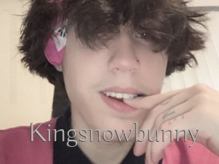 Kingsnowbunny