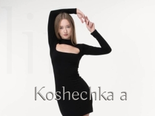 Koshechka_a