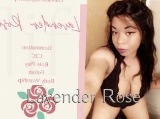 Lavender_Rose