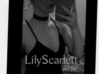 Lily_Scarlett