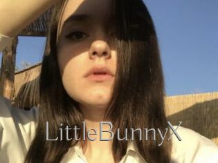 LittleBunnyX