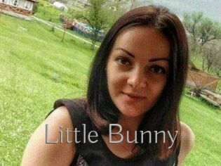 Little_Bunny_