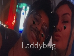 Laddybug