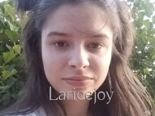 Laricejoy