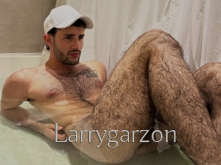 Larrygarzon