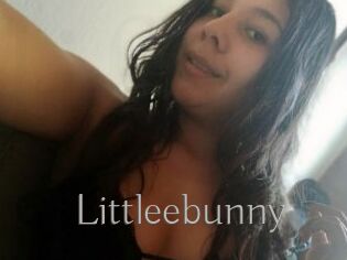 Littleebunny