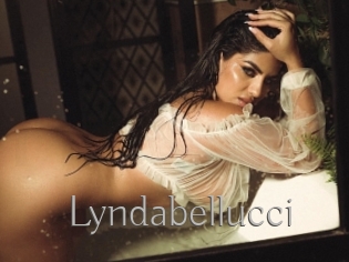 Lyndabellucci