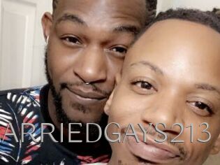 MARRIEDGAYS213