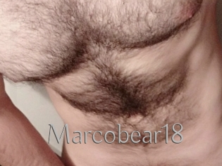 Marcobear18