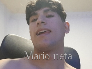 Mario_neta