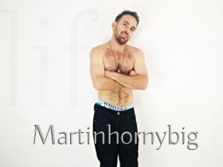 Martinhornybig