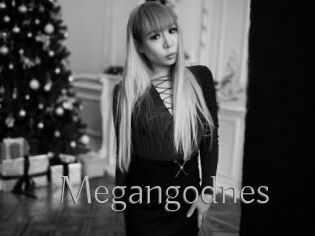 Megangodnes
