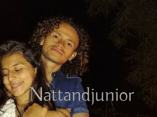 Nattandjunior