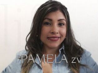 PAMELA_zv