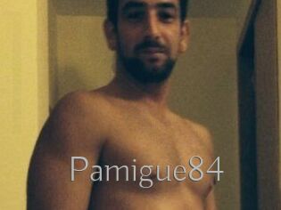 Pamigue84