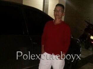 Polexcuteboyx