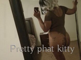 Pretty_phat_kitty