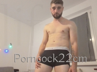 Porncock22cm