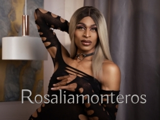 Rosaliamonteros