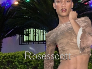 Rosesscott