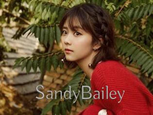 SandyBailey