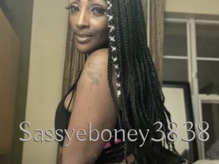 Sassyeboney3838