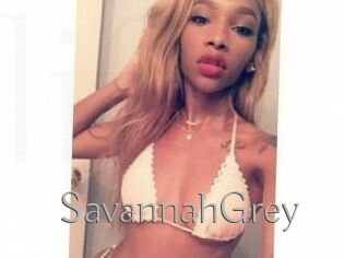 Savannah_Grey