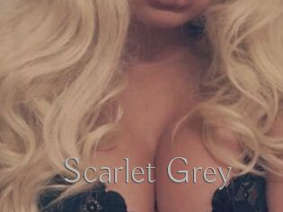 Scarlet_Grey