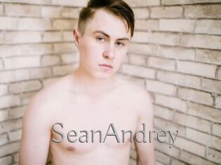 SeanAndrey