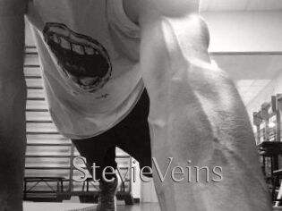 StevieVeins