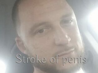 Stroke_of_penis